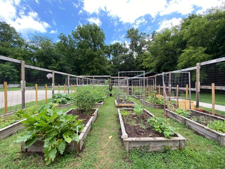 Walkerstreet community garden 768x576